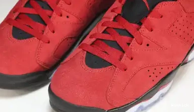 Jordan Bravo” “Toro 6 CT8529-600 0430